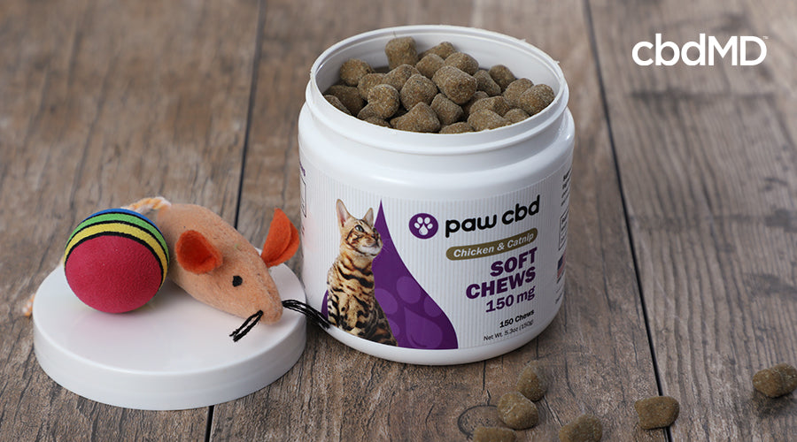 cbd cat treats