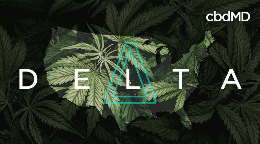 The word delta with a triangle logo and an outline of the united states with marijuana leaves all around it