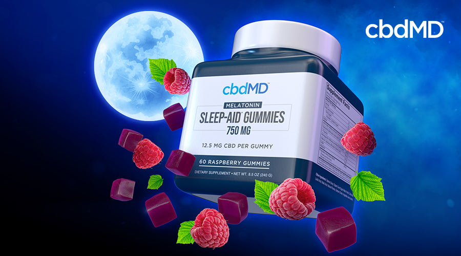cbdMD melatonin sleep aid gummies raspberry flavor container.