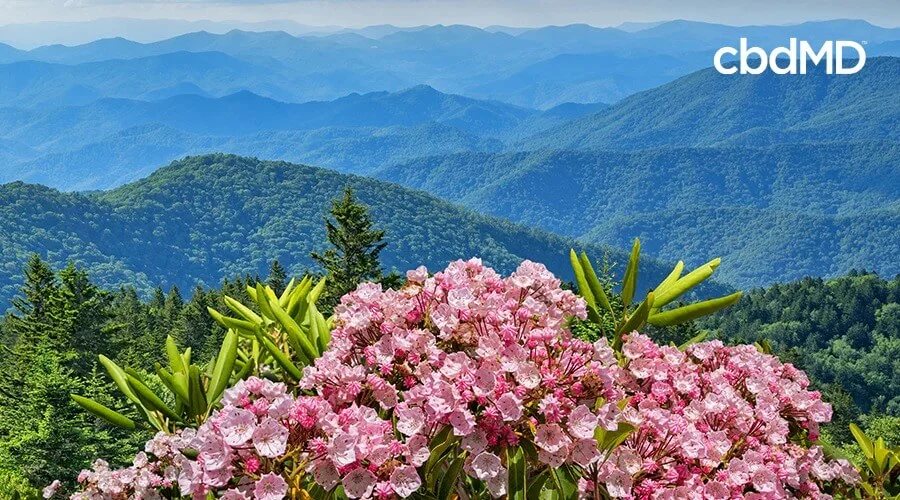 mountain trail to summit