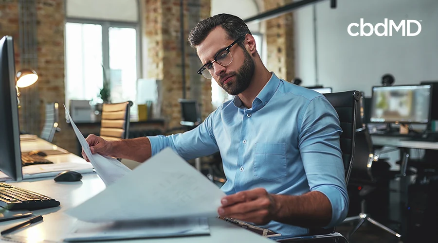 man studying work to complete project