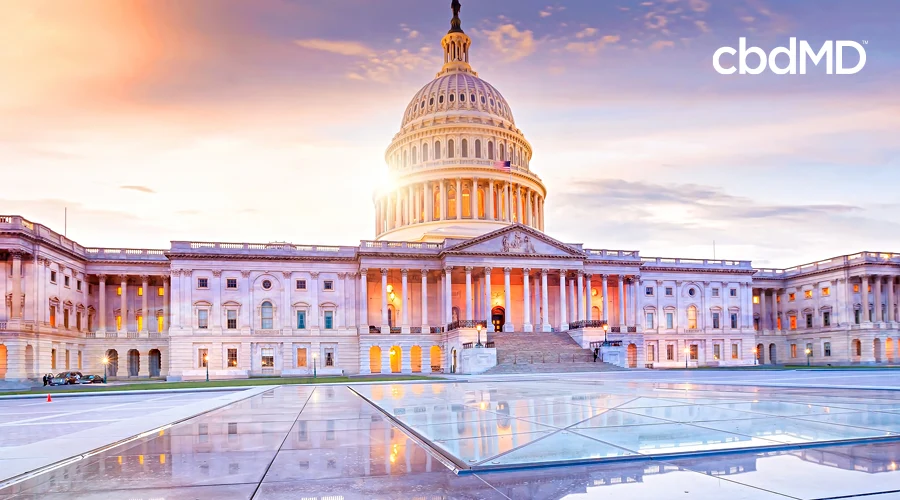 An image of the united states capital at sun set from the plaza