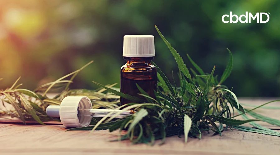A brown glass dropper bottle sits amongst hemp leaves with a dropper nearby