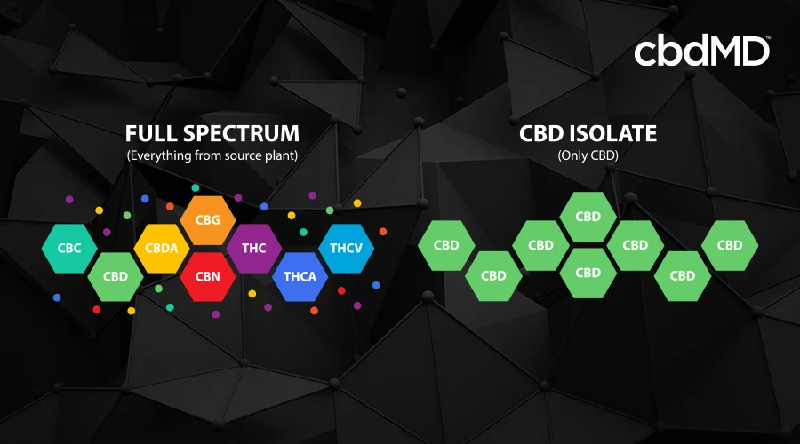 Full spectrum and cbd isolate diagram.
