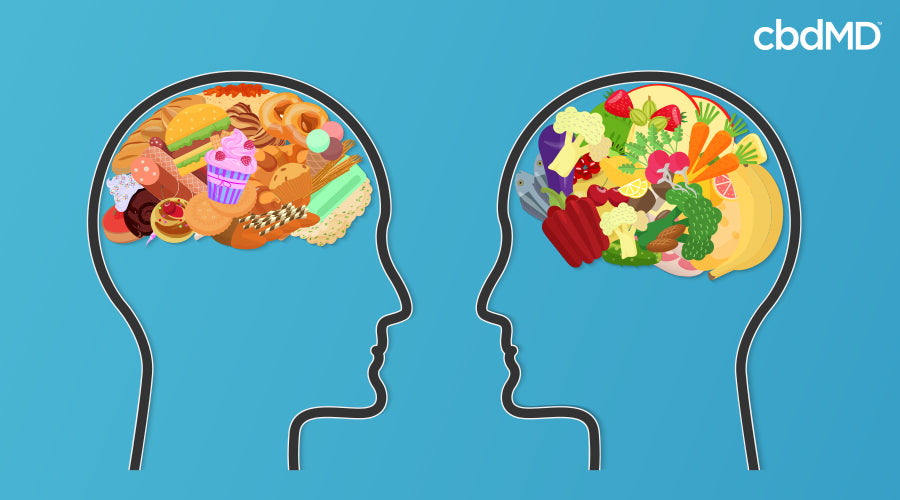 An illustration of two peoples heads with junk food in one and healthy food in the other