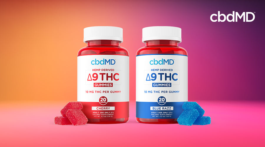 cbdMD hemp derived delta 9 thc gummies cherry and blue razz bottles next to each other with gummies laying around them