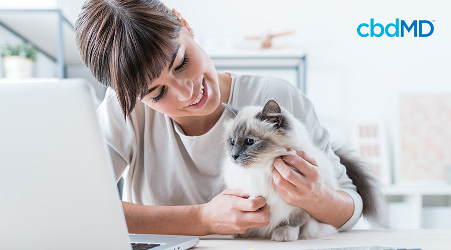 cbdMD and National Pet Appreciation Week