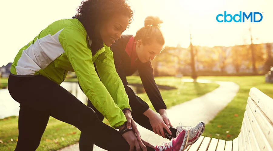 women stretching before beginning a morning workout