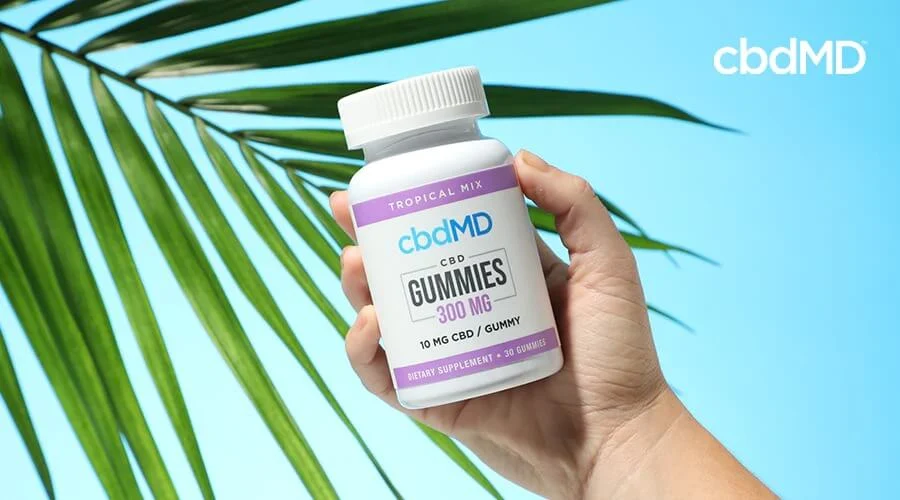 bottle of cbdMD 300mg CBD gummies