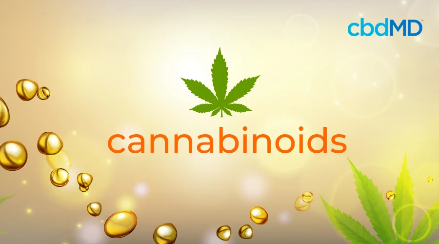 An image depicting cannabinoids with hemp leaf