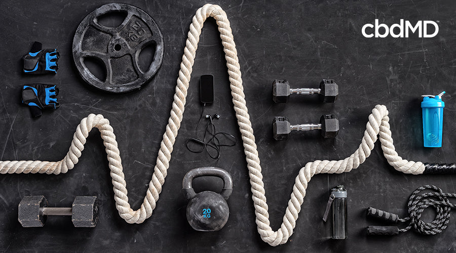 equipment used for crossfit workouts