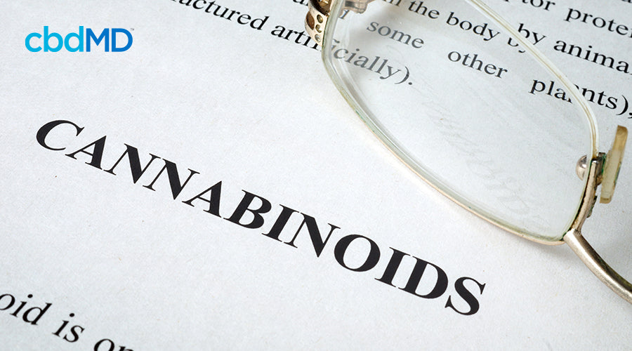 the word cannabinoid on paper