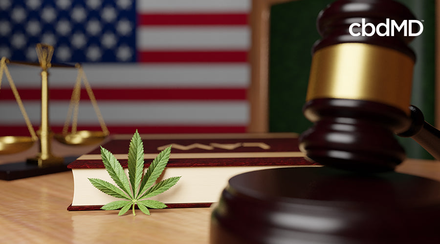 A desk with a gavel and a book with a cannabis leaf up against it with an american flag in the background
