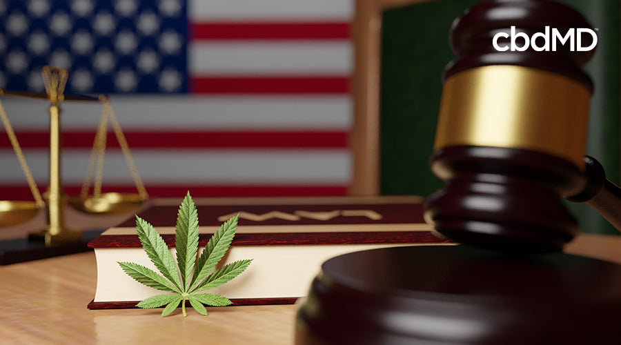 A gavel book and marijuana leaf sitting on a desk with an american flag in the background