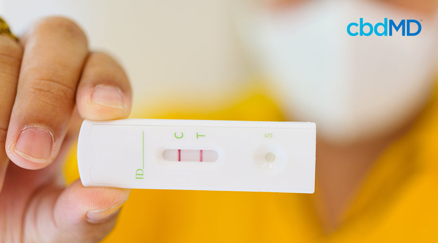 A person holding a drug test with their fingers