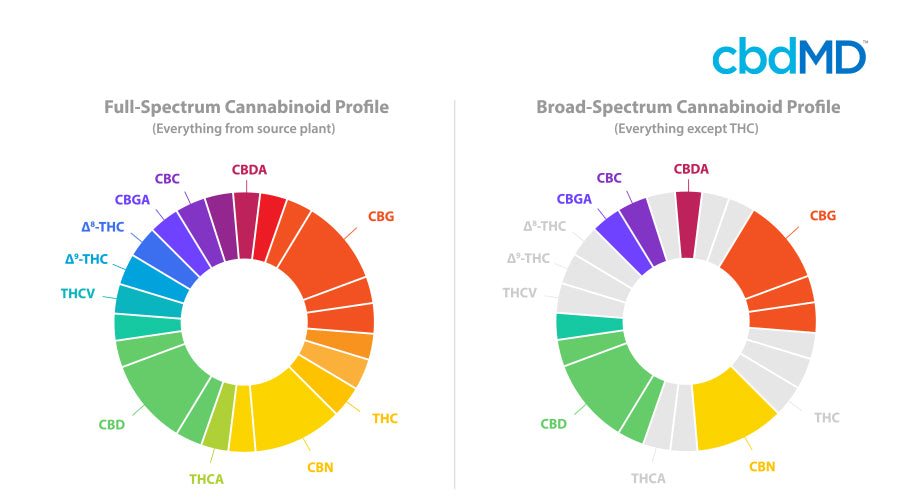 An illustration of a full spectrum cannabinoid profile chart next to a broad spectrum cannabinoid profile chart