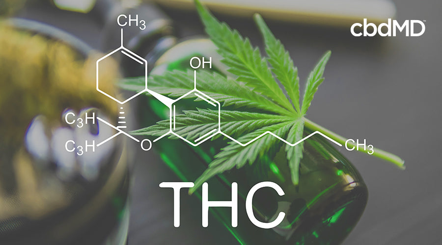 Illustration of the thc compound with a bottle of cannabis oil a cannabis leaf and cannabis flower in the background