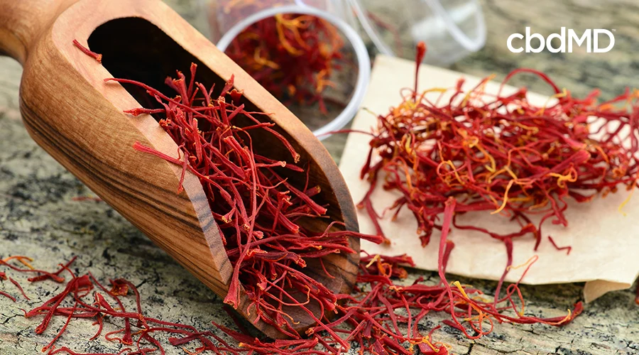 A wooden scooper with saffron it it with saffron in a container behind it as well as saffron being scattered around everywhere