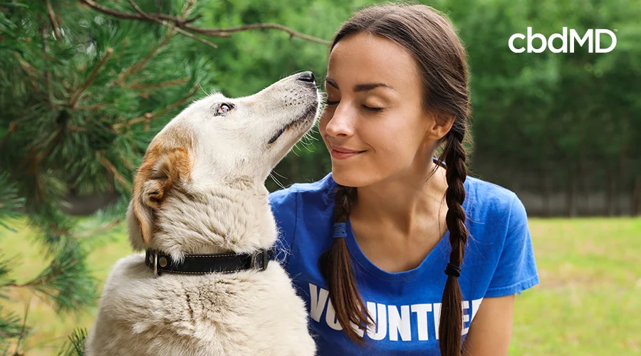 woman volunteering with dogs