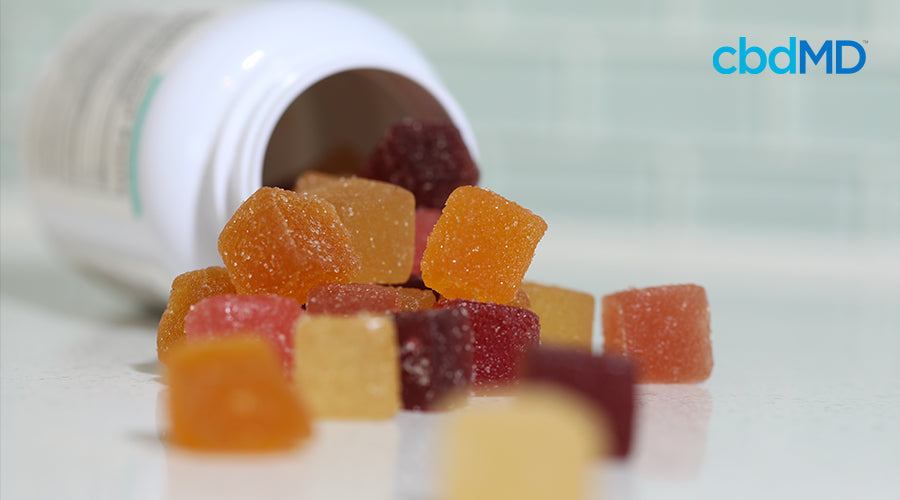 cbd gummies by cbdMD
