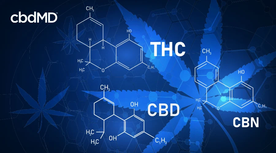 diagram depicting THC CBD and CBN compounds