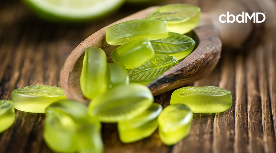 Cannabis gummies shaped as leaves in a wooden spoon and laying around it