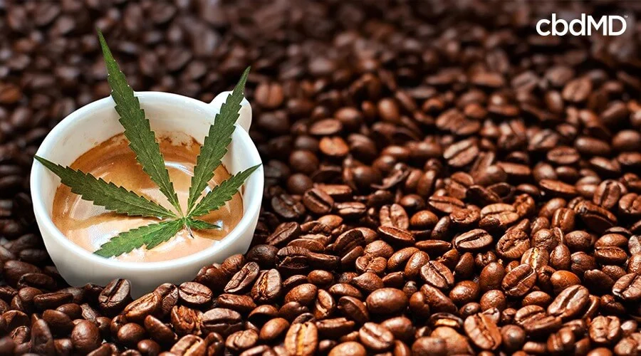 A coffee mug with a cannabis leaf in it laying on a pile of coffee beans