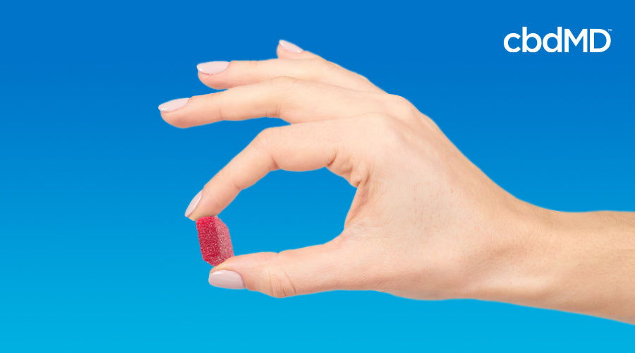 A woman holding a thc gummy with her fingers