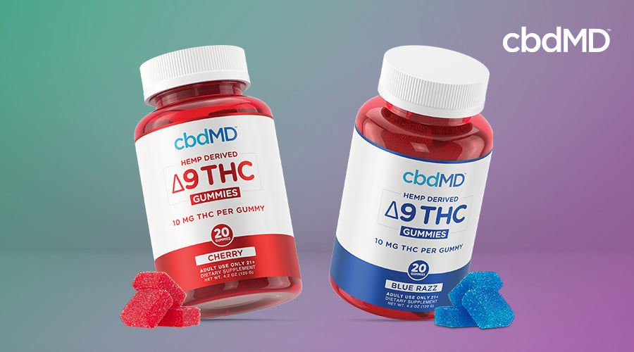 cbdMD hemp derived delta 9 thc gummies cherry and blue razz bottles next to each other with gummies laying outside the containers