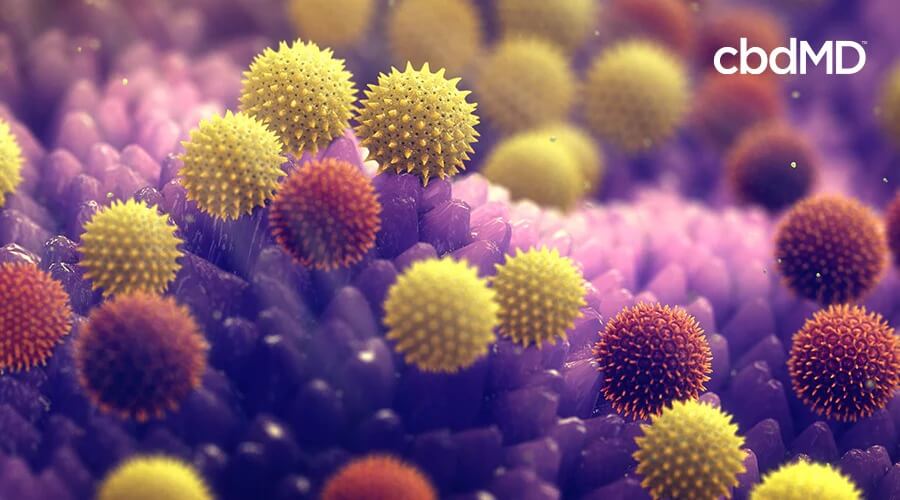 allergens can contribute to snoring
