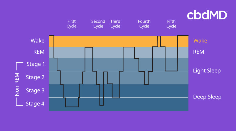 chart of the 4 stages of sleep