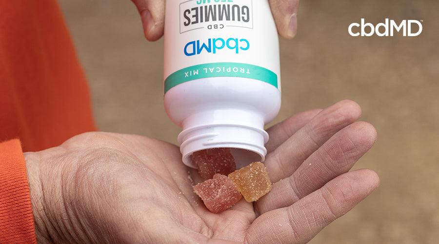 Someone pouring cbdMD gummies into their hand.