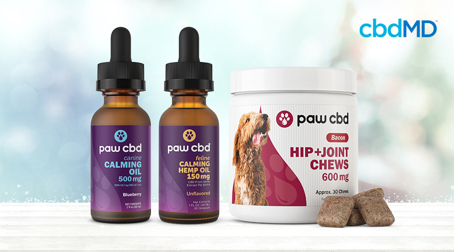 paw cbd blueberry canine calming oil, unflavored feline calming hemp oil, and bacon hip and joint chews containers.