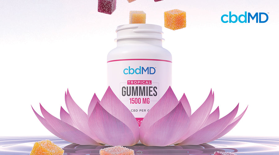 cbdMD tropical gummies 1500 mg container sitting on water with flowers around it with gummies coming out the top of the container