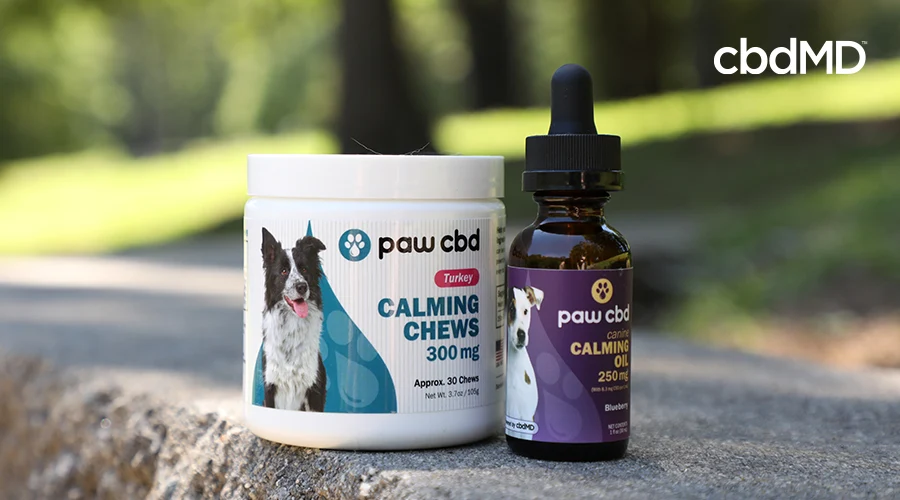 paw cbd calming chews container and cbd calming oil bottle.