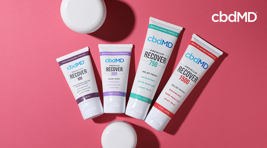 cbdMD premium recover cbd pain relief cream