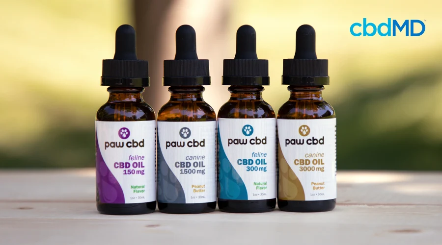 cbd for pets