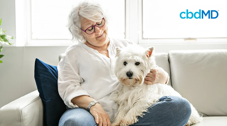 An older woman sits on her couch petting a fluffy white dog that is sitting in her lap