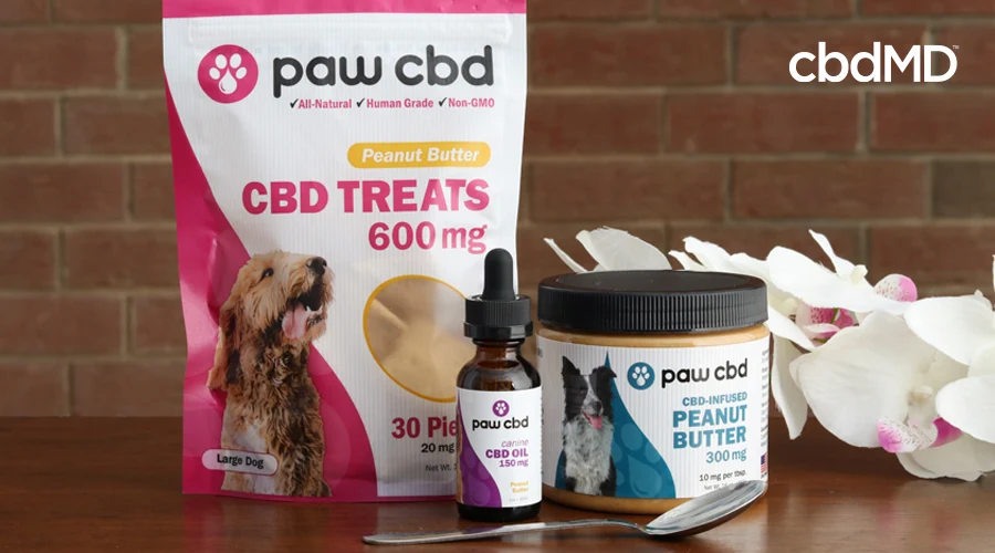 An assortment of cbd products for dogs from paw cbd sits together