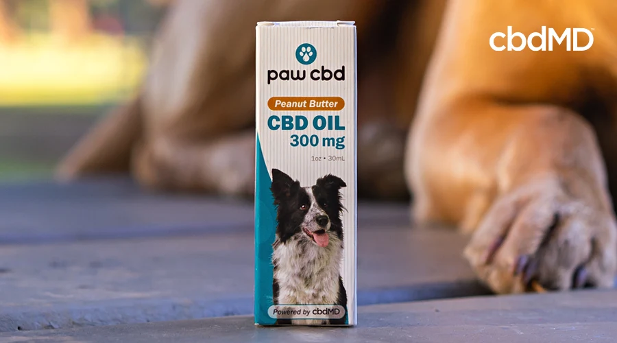 A box with cbd oil tincture for dogs from paw cbd sits on a table