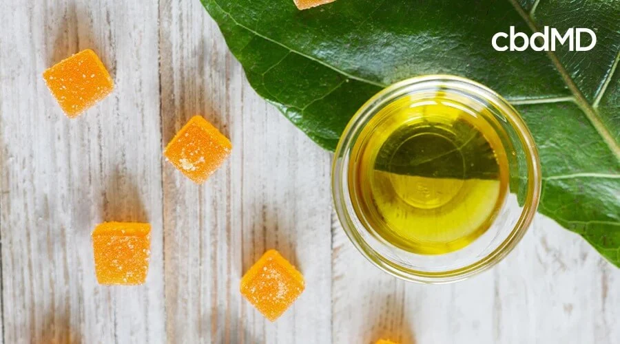 A glass cup of cbd oil sits next to several orange cbd gummies from cbdmd