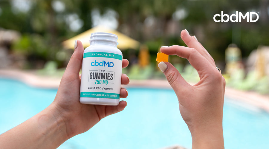 A person holds up a bottle of cbd gummies from cbdmd and holds several ready to eat