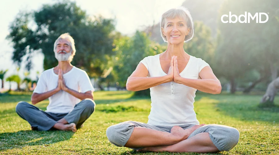A very healthy looking older man and woman sit in the park doing yoga