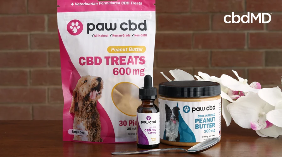 A collection of cbd dog products from cbdmd sit all together