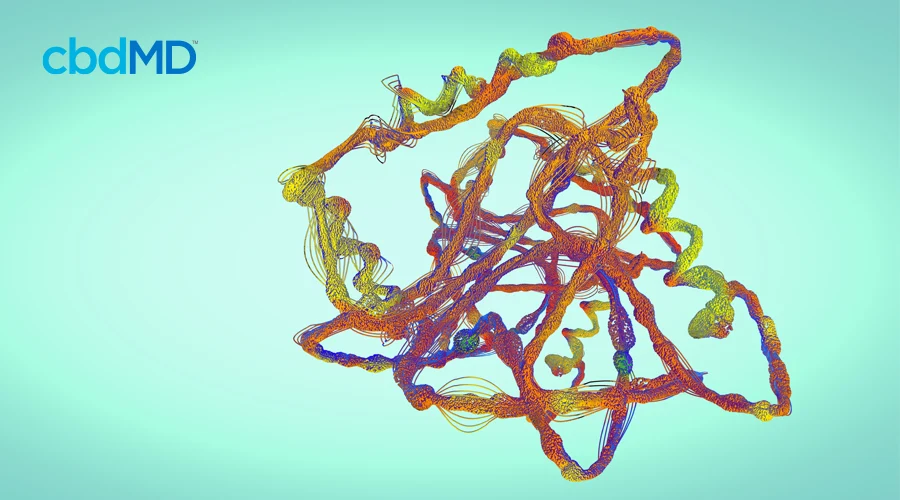 A multi colored swirl of interwoven lines depicting a complex molecule on a field of aqua blue