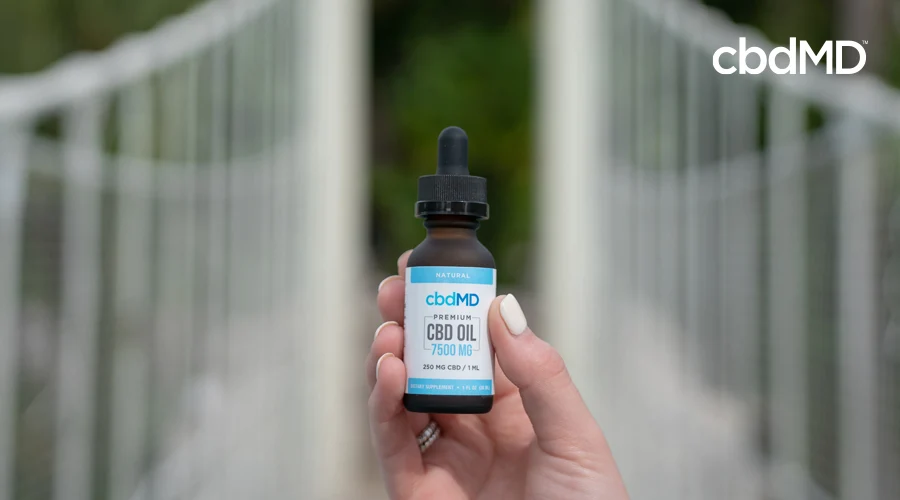 Hand with manicured nails holds bottle of 7500 mg natural CBD oil tincture by cbdMD with suspension bridge in background