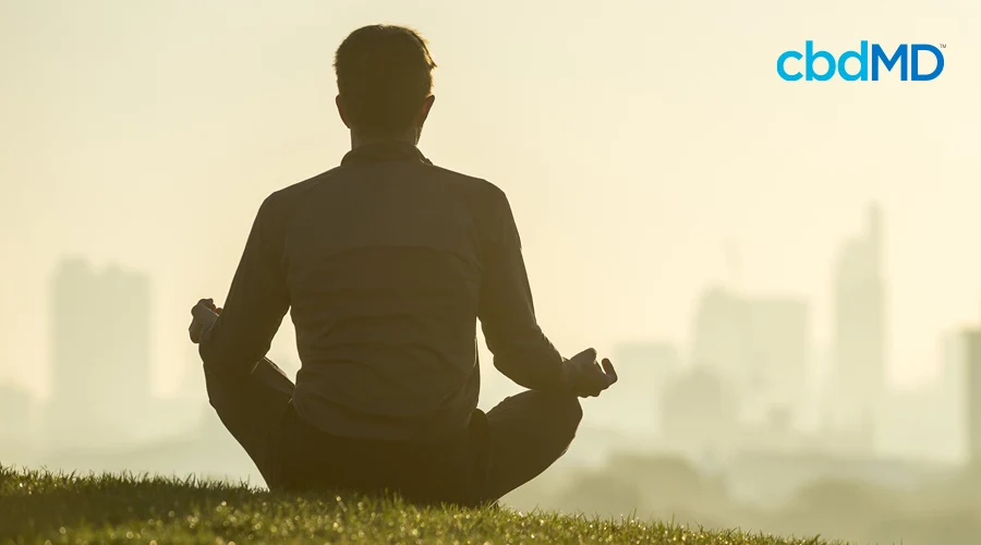 Man sits cross legged with hands resting on knees in yoga position with city skyline looming in distant background