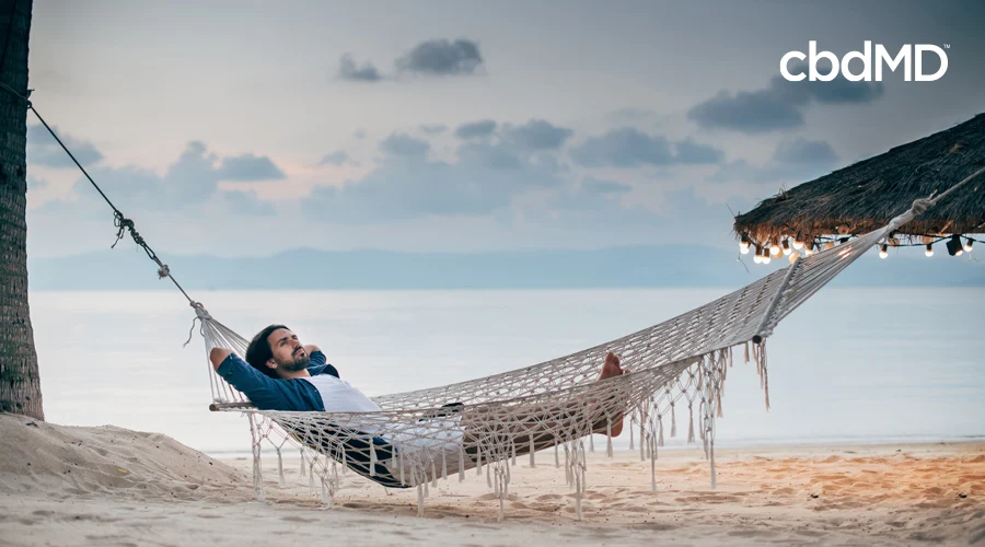 Dark-haired man relaxes in hammock on beach attached to roof of tiki hut with string lights and tree with ocean in the background