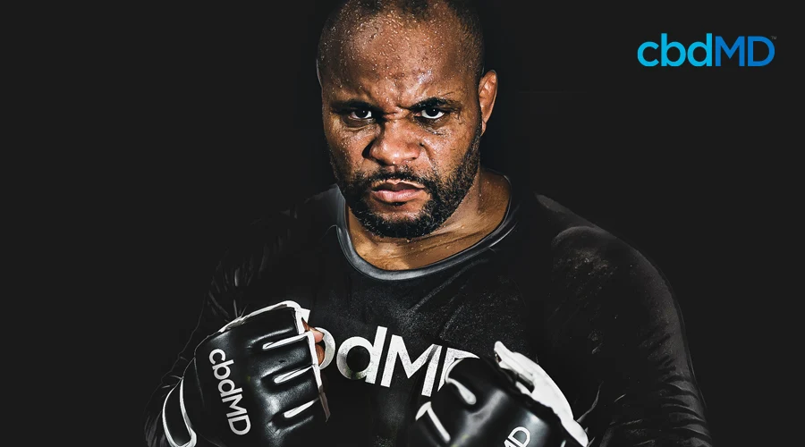 Daniel Cormier stands in black cbdMD t-shirt with black cbdMD fighting gloves