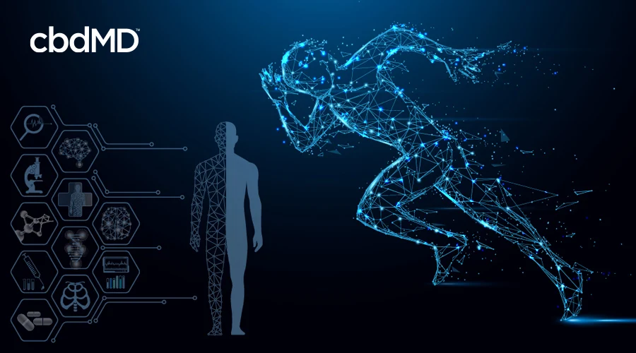 A human form made of constellations sprints next to a diagram showing the systems of the body